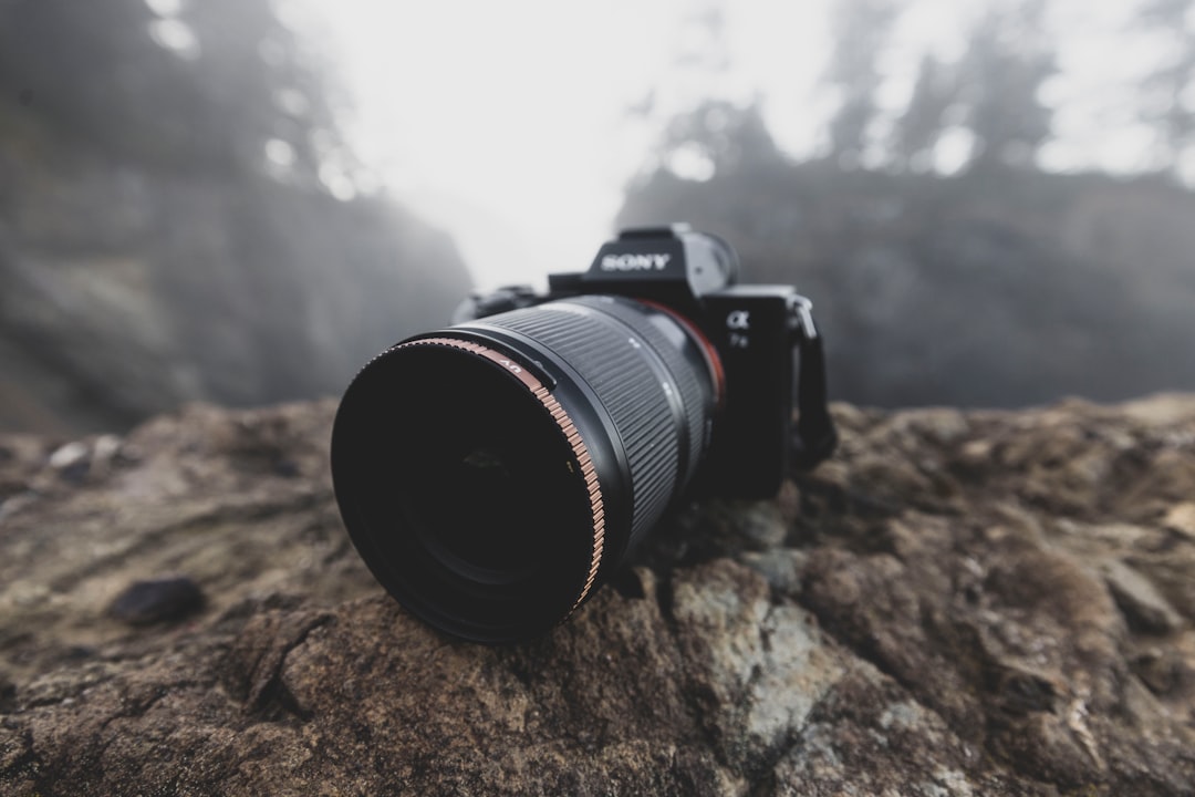 a camera sitting on top of a rock